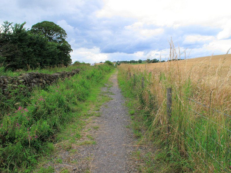 Hadrians Wall Path Heading West