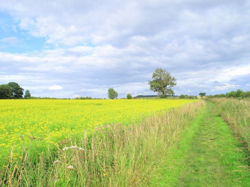 Near Halton Shields