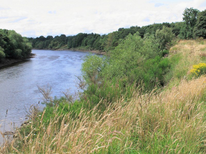 The Tyne Near Newburn
